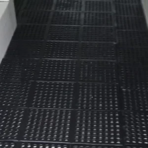 Karpet Bolong-Bolong
